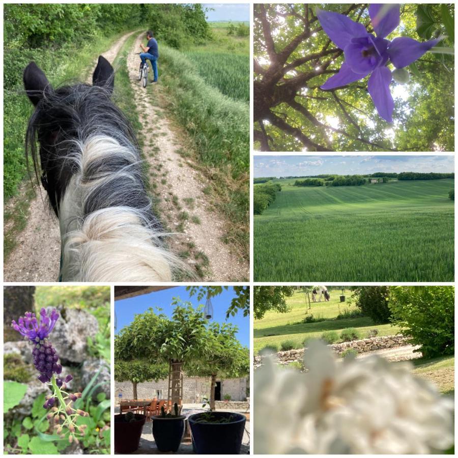 Les Fontanelles Du Quercy Blanc Villa Montcuq ภายนอก รูปภาพ
