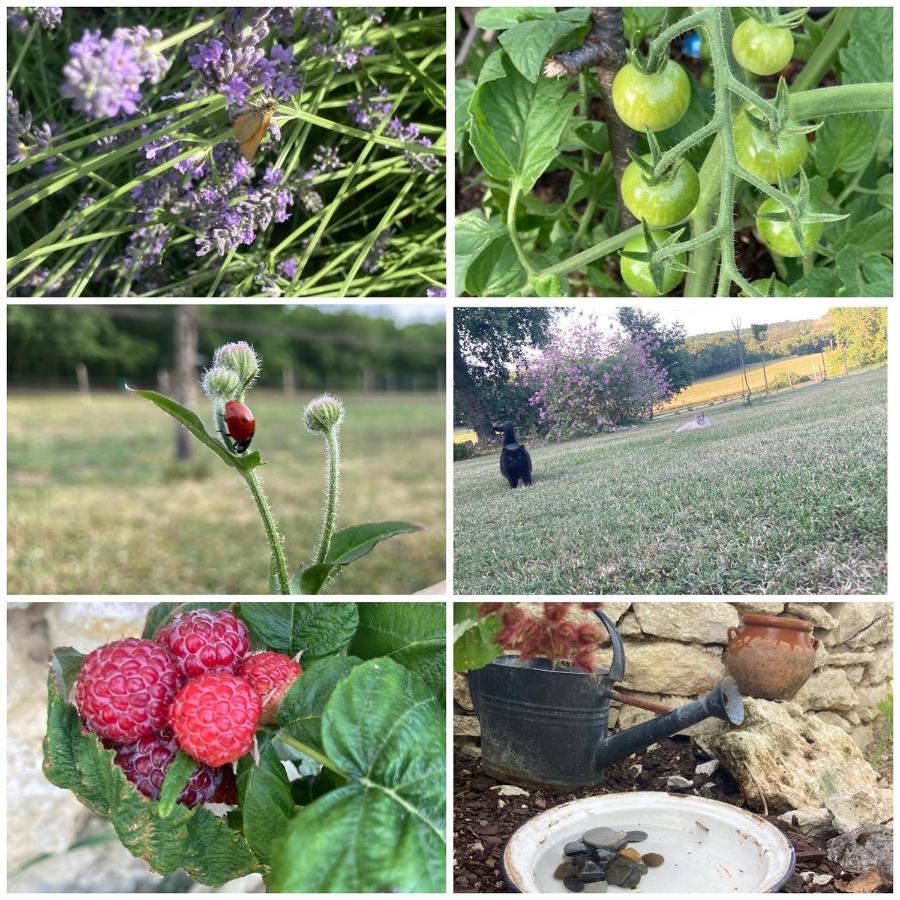 Les Fontanelles Du Quercy Blanc Villa Montcuq ภายนอก รูปภาพ