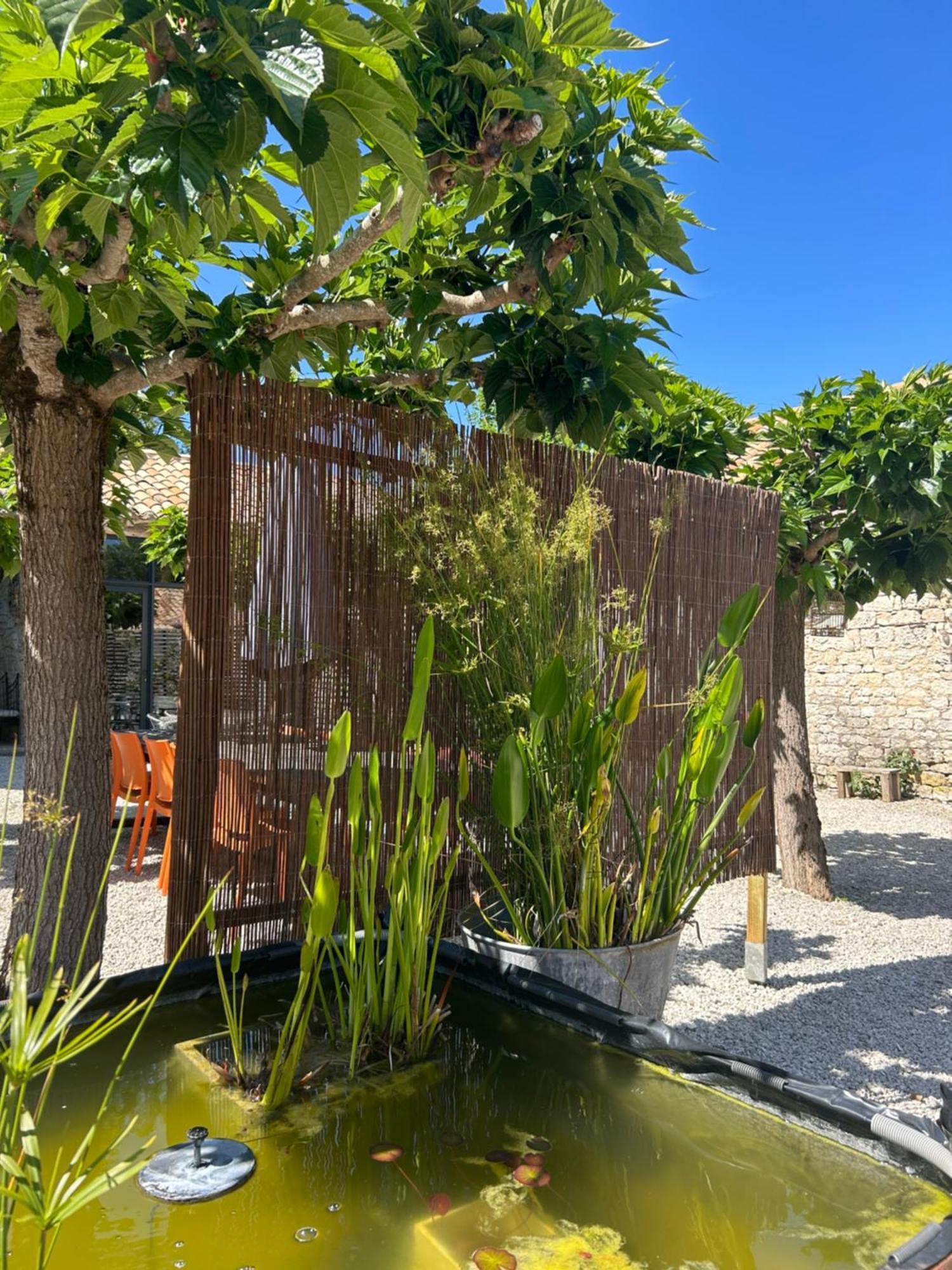 Les Fontanelles Du Quercy Blanc Villa Montcuq ภายนอก รูปภาพ